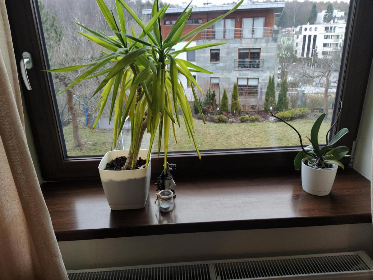 גדינייה Apartament Z Tarasem מראה חיצוני תמונה